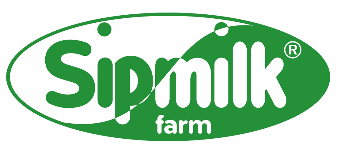 IMG-LOGO